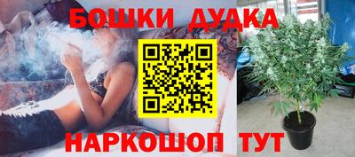 прущая мука Пугачёв