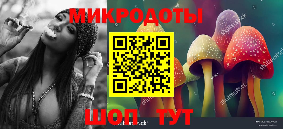 Псилоцибиновые грибы Cubensis Протвино