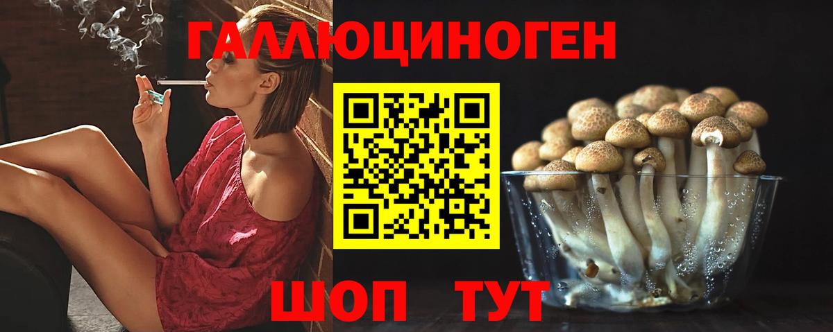 Псилоцибиновые грибы Psilocybe  Вход с VPN  Протвино  Псилоцибиновые грибы GOLDEN TEACHER 